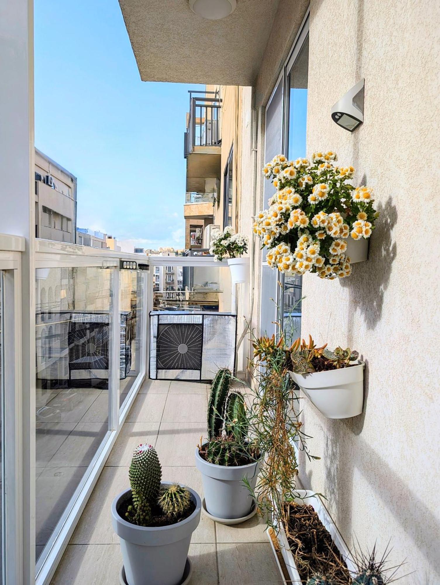 Central- Private En-Suite With Balcony In Shared Residence Pieta Экстерьер фото